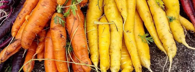 Gardeners Webinar