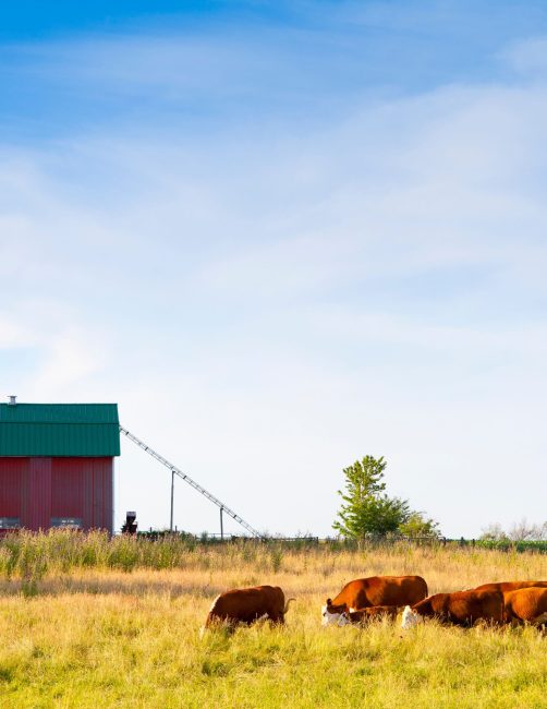 Agriculture Extension Sauk County