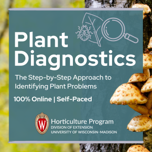 Plant Diagnostic