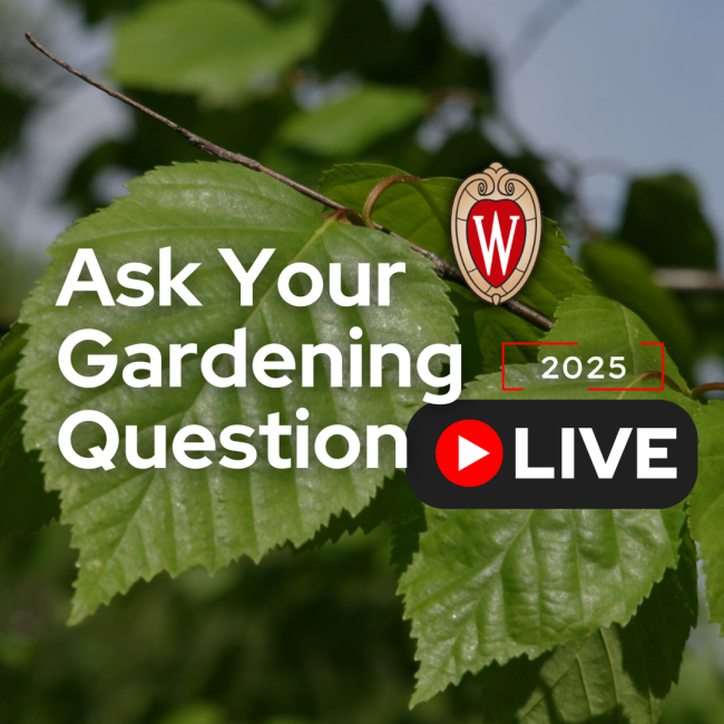 Ask your Gardening Questions: LIVE