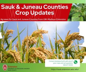 Sauk & Juneau Counties Crop Updates