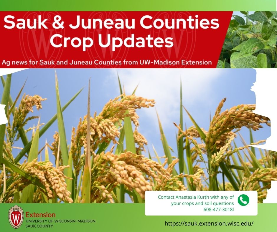 Sauk & Juneau Counties Crop Updates