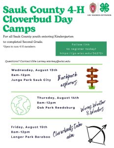 Cloverbud Day Camp