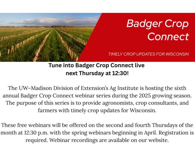 Badger Crop Talk