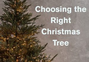 Choosing the Right Christmas Tree