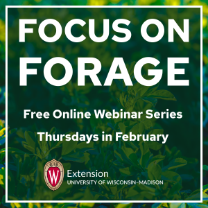 Focus On Forage
