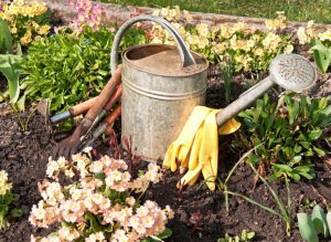 Horticulture Help Desk